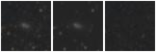 Missing file PGC046162-custom-montage-W1W2.png