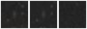 Missing file PGC1145176-custom-montage-W1W2.png