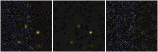 Missing file PGC3298900-custom-montage-FUVNUV.png