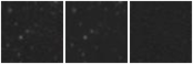 Missing file AGC238828-custom-montage-W1W2.png