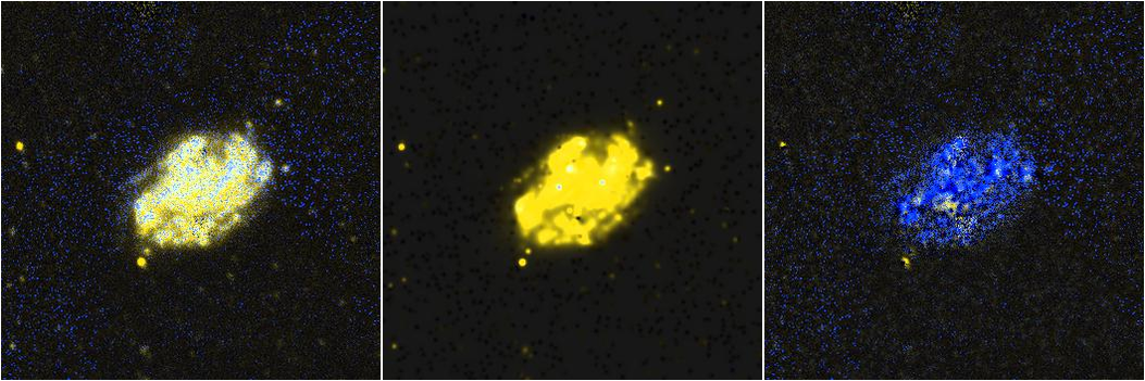 Missing file NGC5112-custom-montage-FUVNUV.png