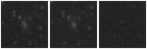 Missing file PGC1700671-custom-montage-W1W2.png