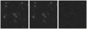 Missing file PGC2141083-custom-montage-W1W2.png
