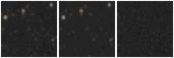 Missing file LAMOSTJ132443.75+061232.8-custom-montage-W1W2.png