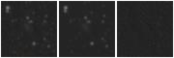 Missing file PGC046898-custom-montage-W1W2.png