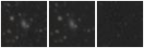 Missing file PGC047114-custom-montage-W1W2.png