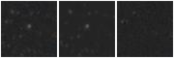 Missing file AGC233559-custom-montage-W1W2.png