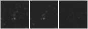Missing file PGC3138619-custom-montage-W1W2.png