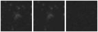 Missing file SDSSJ132919.72+434054.8-custom-montage-W1W2.png