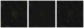 Missing file SDSSJ132923.89+464046.0-custom-montage-FUVNUV.png