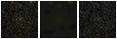 Missing file SDSSJ132951.17+463456.9-custom-montage-FUVNUV.png