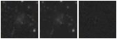 Missing file UGC08474-custom-montage-W1W2.png