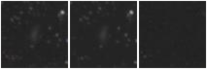 Missing file UGC08509-custom-montage-W1W2.png
