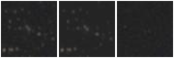 Missing file SDSSJ133318.53+470227.5-custom-montage-W1W2.png