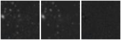 Missing file AGC233601-custom-montage-W1W2.png