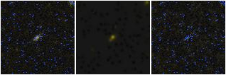 Missing file AGC238841-custom-montage-FUVNUV.png