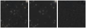 Missing file AGC238841-custom-montage-W1W2.png