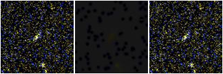 Missing file AGC239142-custom-montage-FUVNUV.png