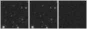 Missing file AGC239142-custom-montage-W1W2.png
