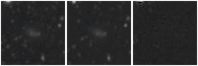Missing file PGC048046-custom-montage-W1W2.png
