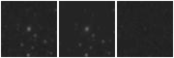 Missing file PGC2236491-custom-montage-W1W2.png