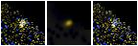 Missing file PGC3138807-custom-montage-FUVNUV.png