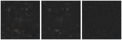 Missing file SDSSJ133704.69+315337.9-custom-montage-W1W2.png