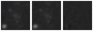 Missing file UGC08605-custom-montage-W1W2.png