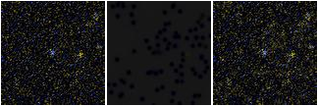 Missing file AGC239143-custom-montage-FUVNUV.png