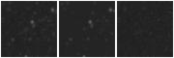 Missing file AGC239143-custom-montage-W1W2.png