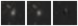 Missing file PGC048578-custom-montage-W1W2.png