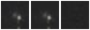 Missing file PGC048589-custom-montage-W1W2.png