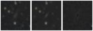 Missing file PGC1187191-custom-montage-W1W2.png