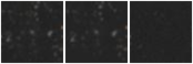 Missing file PGC2053645-custom-montage-W1W2.png