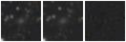 Missing file SDSSJ134155.93+463310.4-custom-montage-W1W2.png