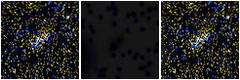 Missing file SDSSJ134309.19+333324.5-custom-montage-FUVNUV.png
