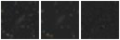 Missing file SDSSJ134309.19+333324.5-custom-montage-W1W2.png