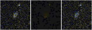 Missing file AGC238769-custom-montage-FUVNUV.png