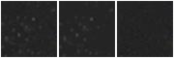 Missing file AGC238847-custom-montage-W1W2.png
