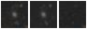 Missing file PGC048822-custom-montage-W1W2.png