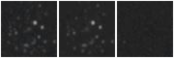 Missing file PGC1670258-custom-montage-W1W2.png