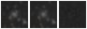 Missing file PGC2126744-custom-montage-W1W2.png