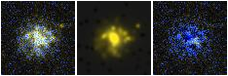 Missing file PGC2193635-custom-montage-FUVNUV.png