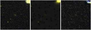 Missing file PGC2614780-custom-montage-FUVNUV.png