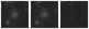 Missing file PGC3138016-custom-montage-W1W2.png