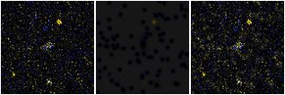 Missing file AGC239144-custom-montage-FUVNUV.png