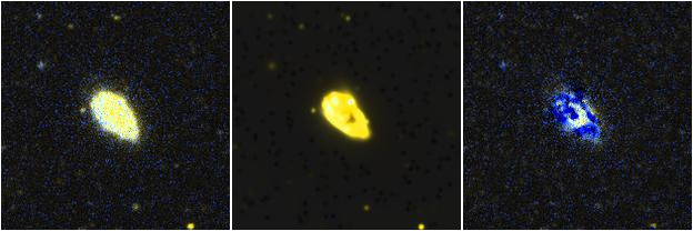 Missing file NGC5313-custom-montage-FUVNUV.png