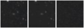 Missing file PGC169753-custom-montage-W1W2.png