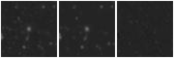 Missing file PGC2281417-custom-montage-W1W2.png
