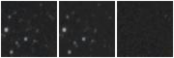 Missing file AGC238709-custom-montage-W1W2.png